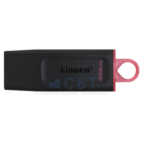 Kingston DataTraveler Exodia - Unidad flash USB - 256 GB