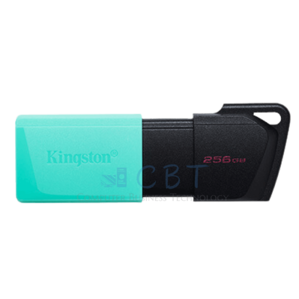 Kingston DataTraveler Exodia M - Unidad flash USB - 256 GB