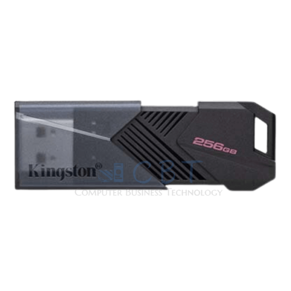 Kingston DataTraveler Onyx - Unidad flash USB - 256 GB