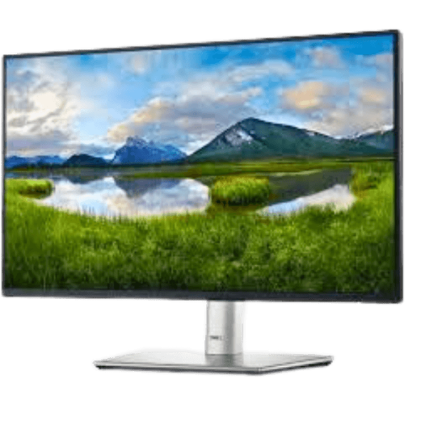 Dell P2422H - Monitor LED - 24"