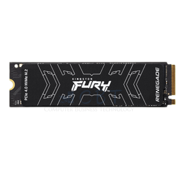 Kingston FURY Renegade - SSD - 500 GB-PCIe 4.0 (NVMe)