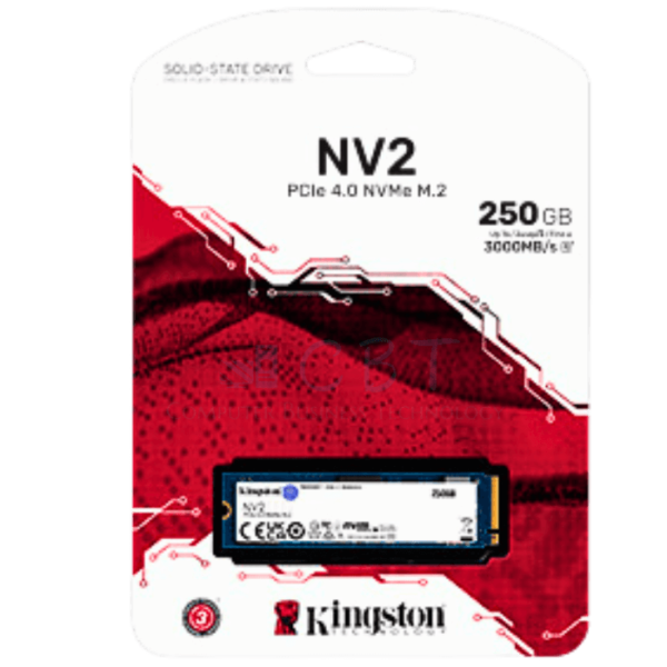 Kingston NV2 - SSD - 250 GB