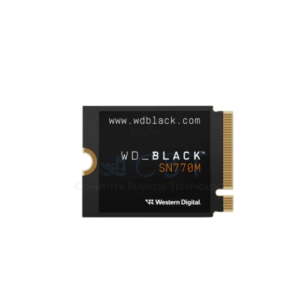 WD_BLACK SN770M WDS500G3X0G - SSD - 500 GB